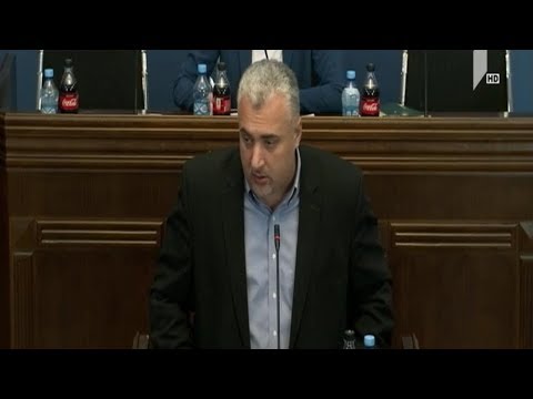 „ევროპული საქართველოს“ ინიციატივის განხილვა